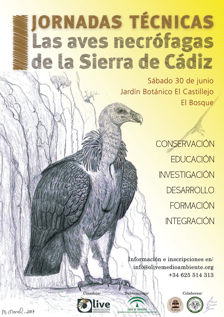 Jornada Técnica aves necrófagas de la sierra de Cádiz, con la Asociación Olive