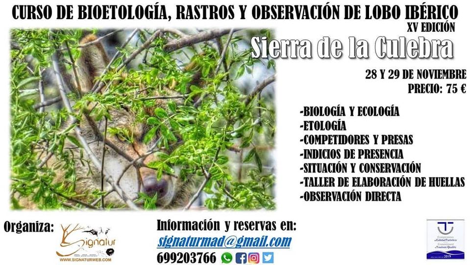 Curso sobre Bioetología y Conservación del Lobo Ibérico, con Signatur