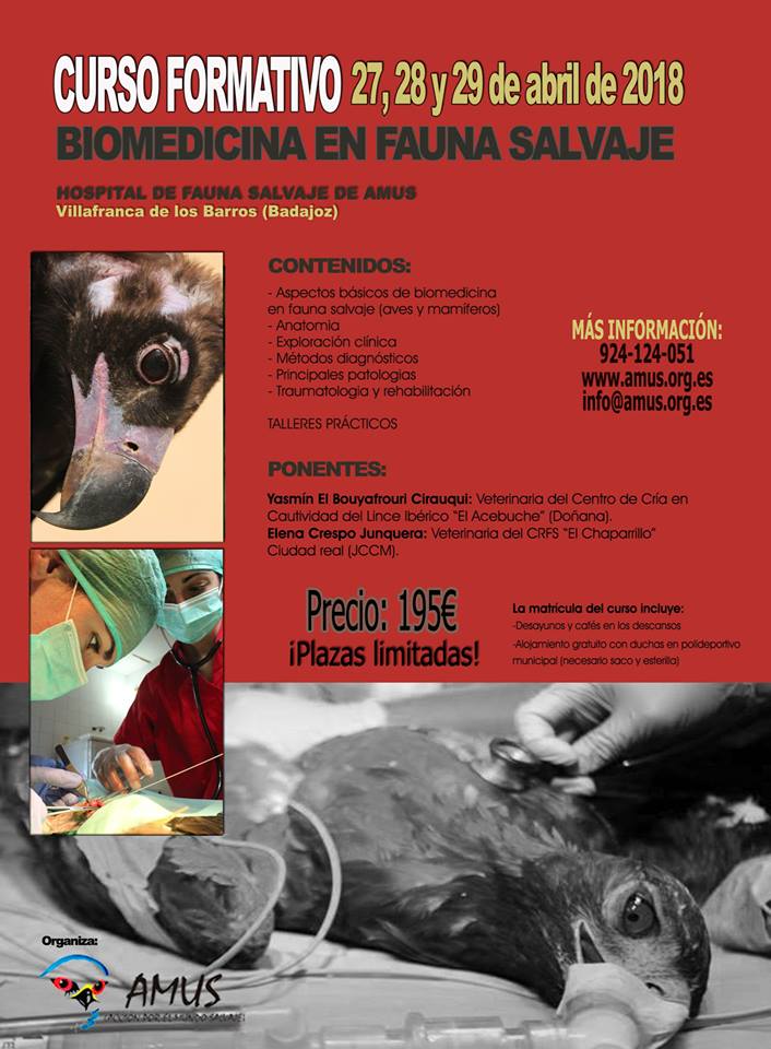 Curso de Biomedicina en Fauna Salvaje, con AMUS