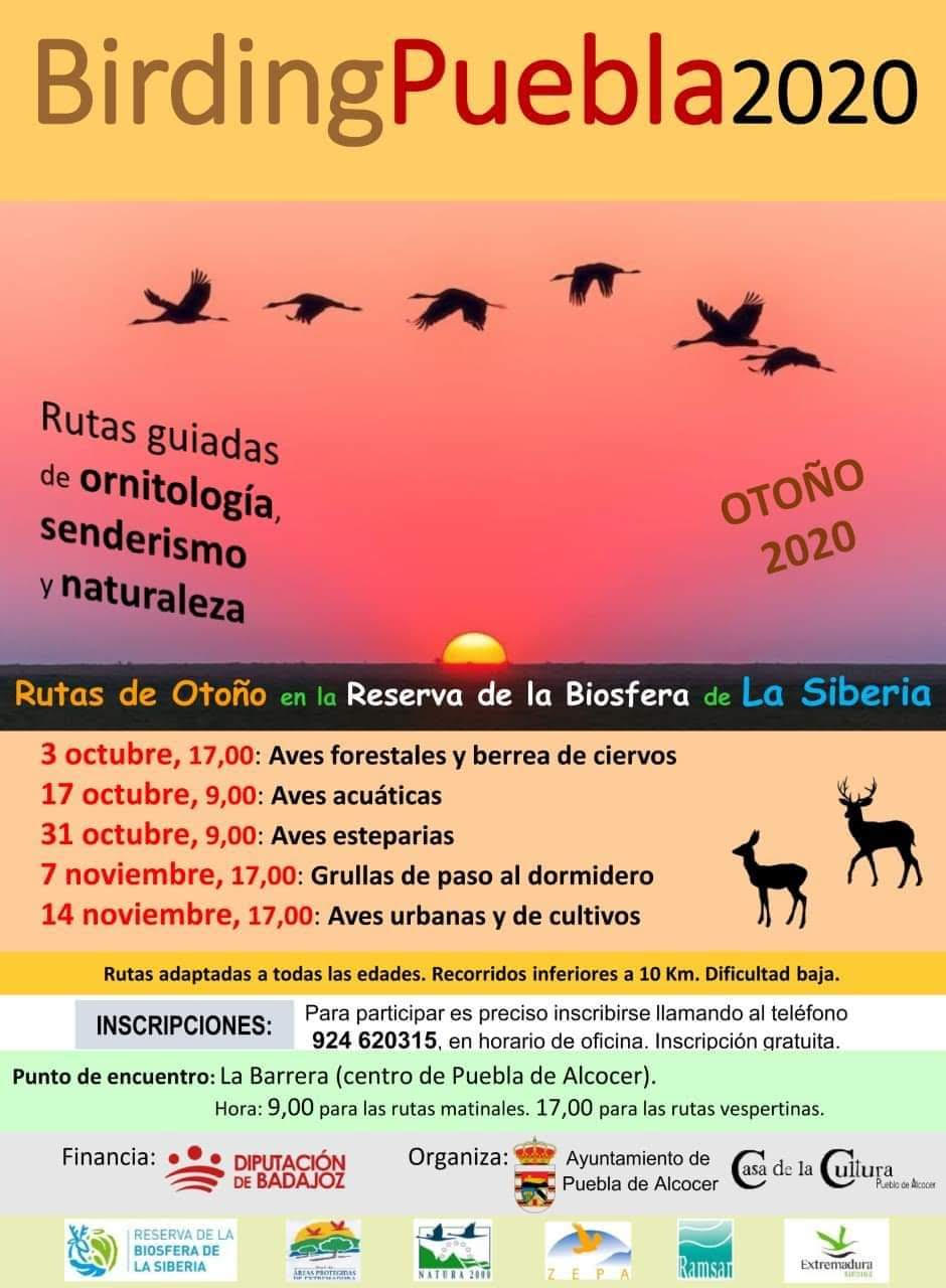 Programa BirdingPuebla2020, con el Ayto. de Puebla de Alcocer