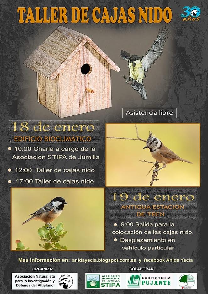 'Recuperación de aves insectívoras', con Anida Yecla