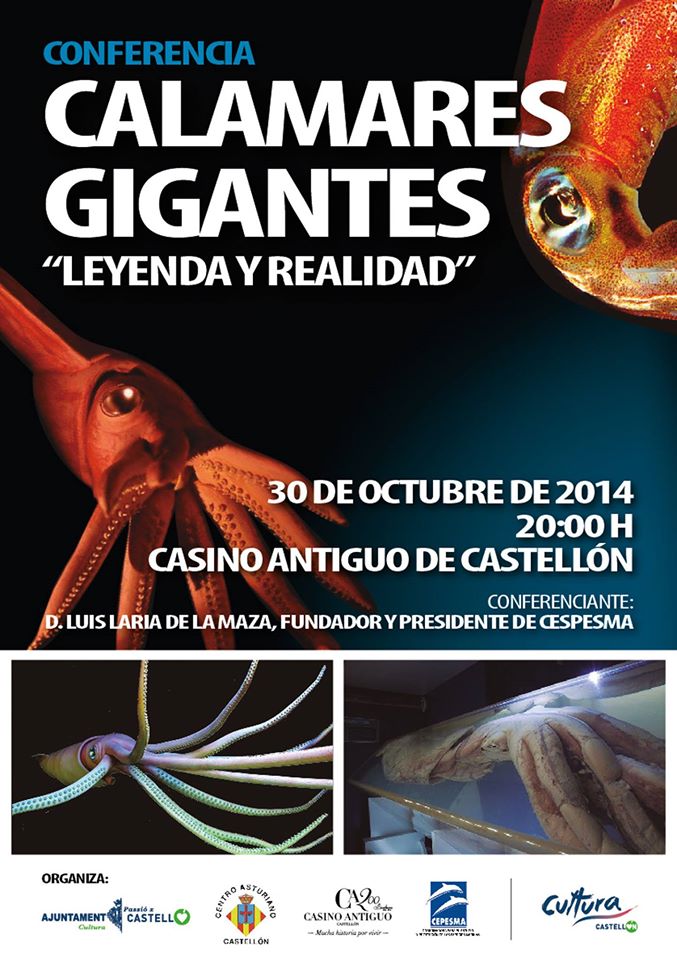 Charla sobre Calamares Gigantes en Castellón