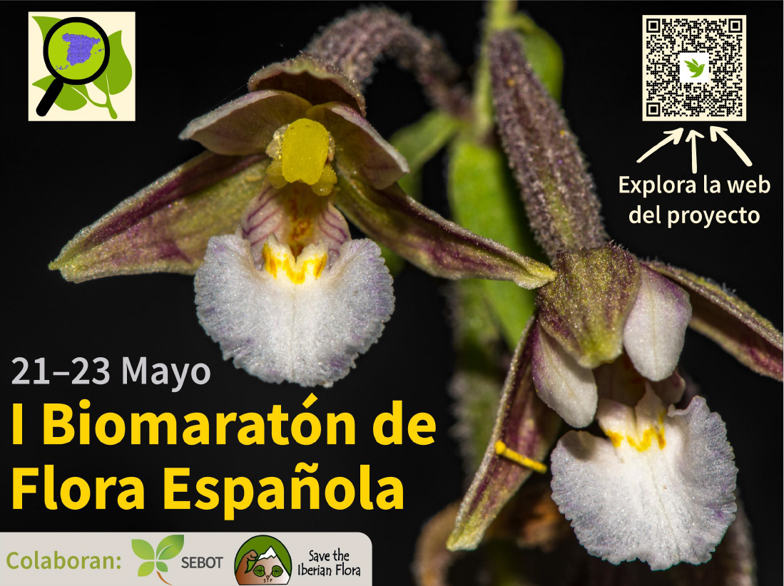 l Biomaratón de Flora Española, con SEBOT