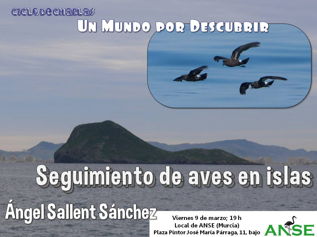 Cartel Seguimiento de aves en islas de la Región de Murcia, con ANSE