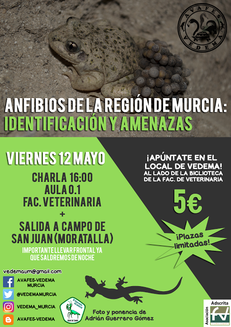 Cartel del Taller de anfibios en Moratalla, con Avafes-Vedema Murcia