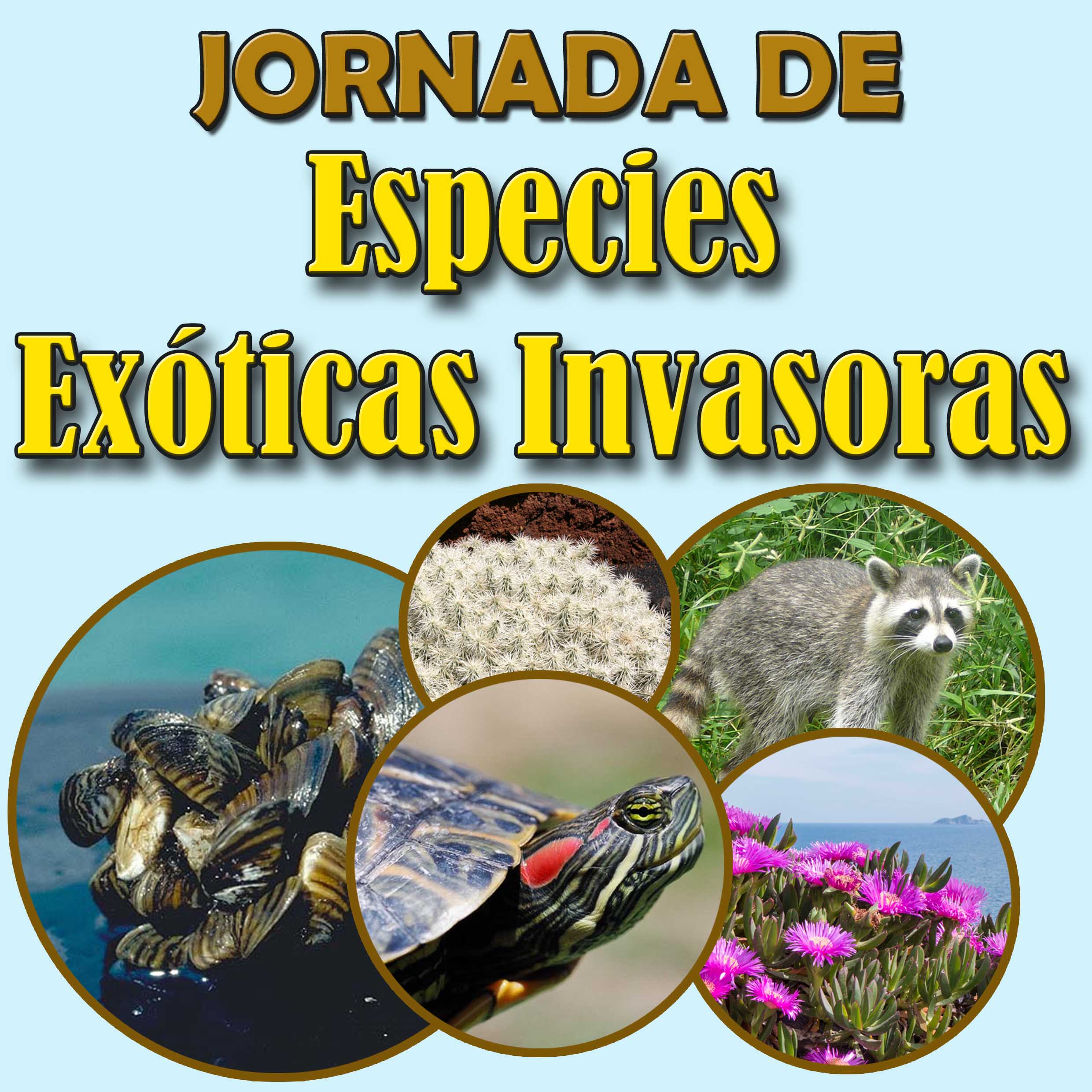 Jornada de Especies exóticas Invasoras en la Semana UMH Sostenible