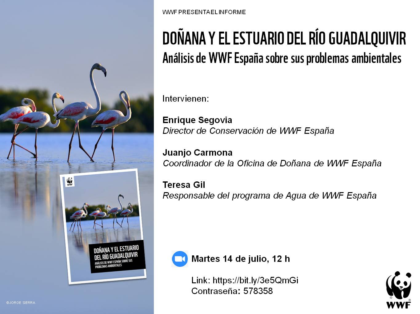 Seminario web 'Doñana, radiografía de los problemas ambientales', con WWF