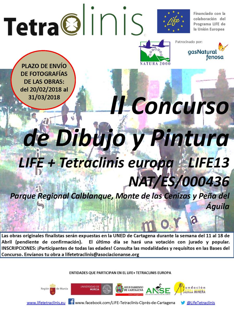 II Concurso de dibujo y pintura Tetraclinis, con LIFE TETRACLINIS EUROPA
