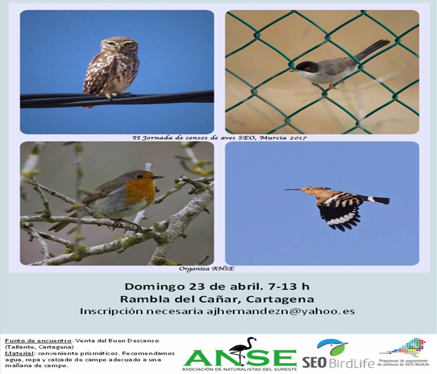 II Jornada de Censos de Aves SEO, con ANSE