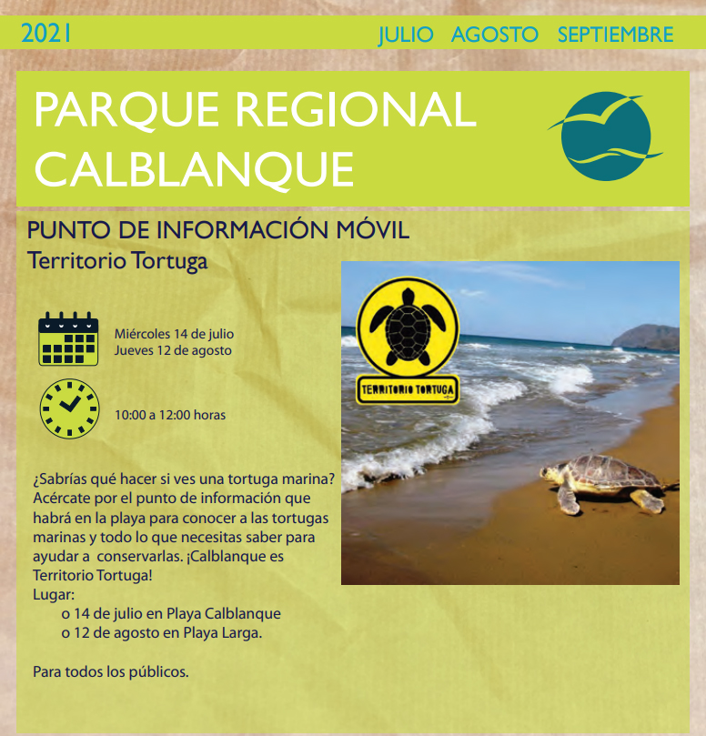Información sobre tortugas marinas en Calblanque 2, con al CARM