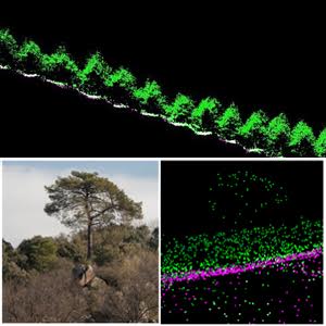 Curso sobre LIDAR para aplicaciones forestales con Agresta S. Coop.