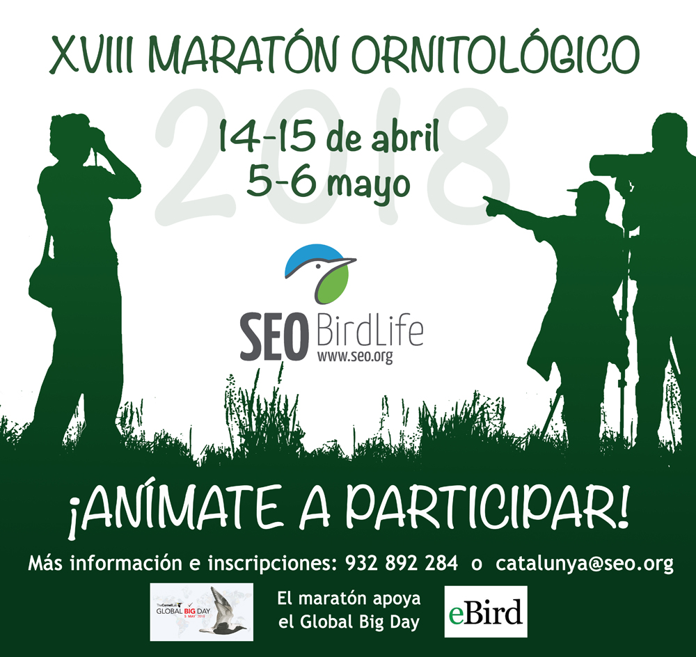 Maratón Ornitológico de SEO 2018 - 2