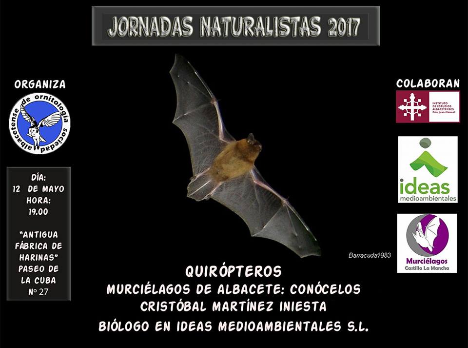 Murciélagos de Albacete, con la Sociedad Albacetense de Ornitología