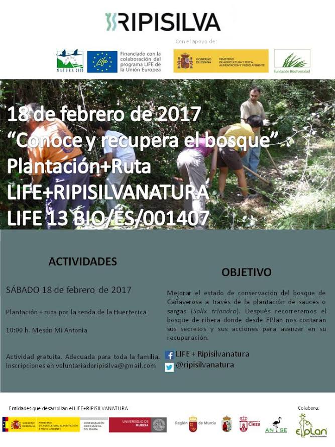 Plantación + ruta en Cañaverosa, con el LIFE Ripisilva