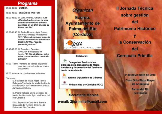 Cartel II Jornada técnica sobre la conservación del patrimonio histórico y el cernícalo primilla, con Grefa