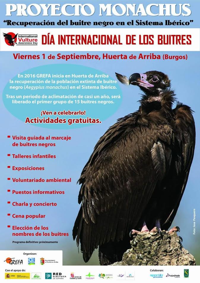 Día Internacional de los buitres 2017, con Grefa . Día Internacional de los buitres 2017, con Grefa