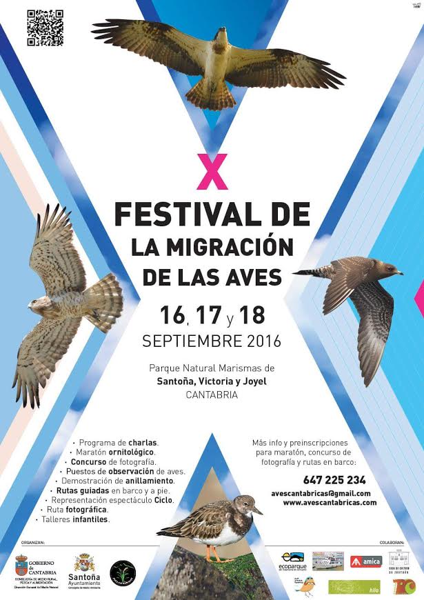 Festival de la Migrración de las Aves de Santoña