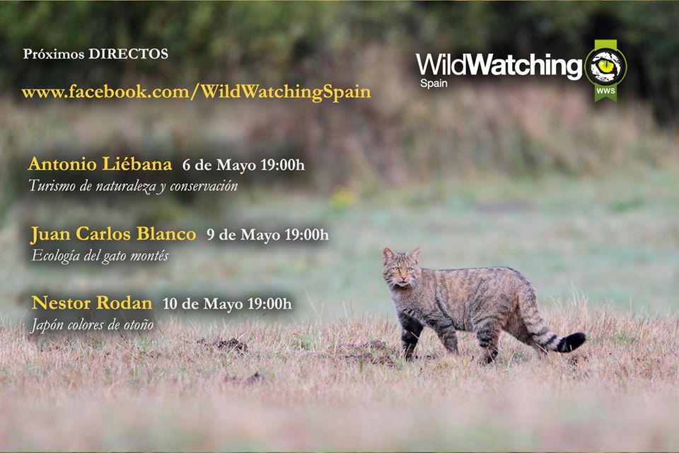Programa de charlas de WildWatching Spain