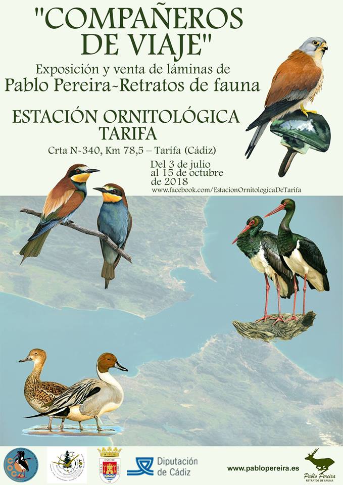 Cartel de la exposición 'Compañeros de viaje' de Retratos de fauna