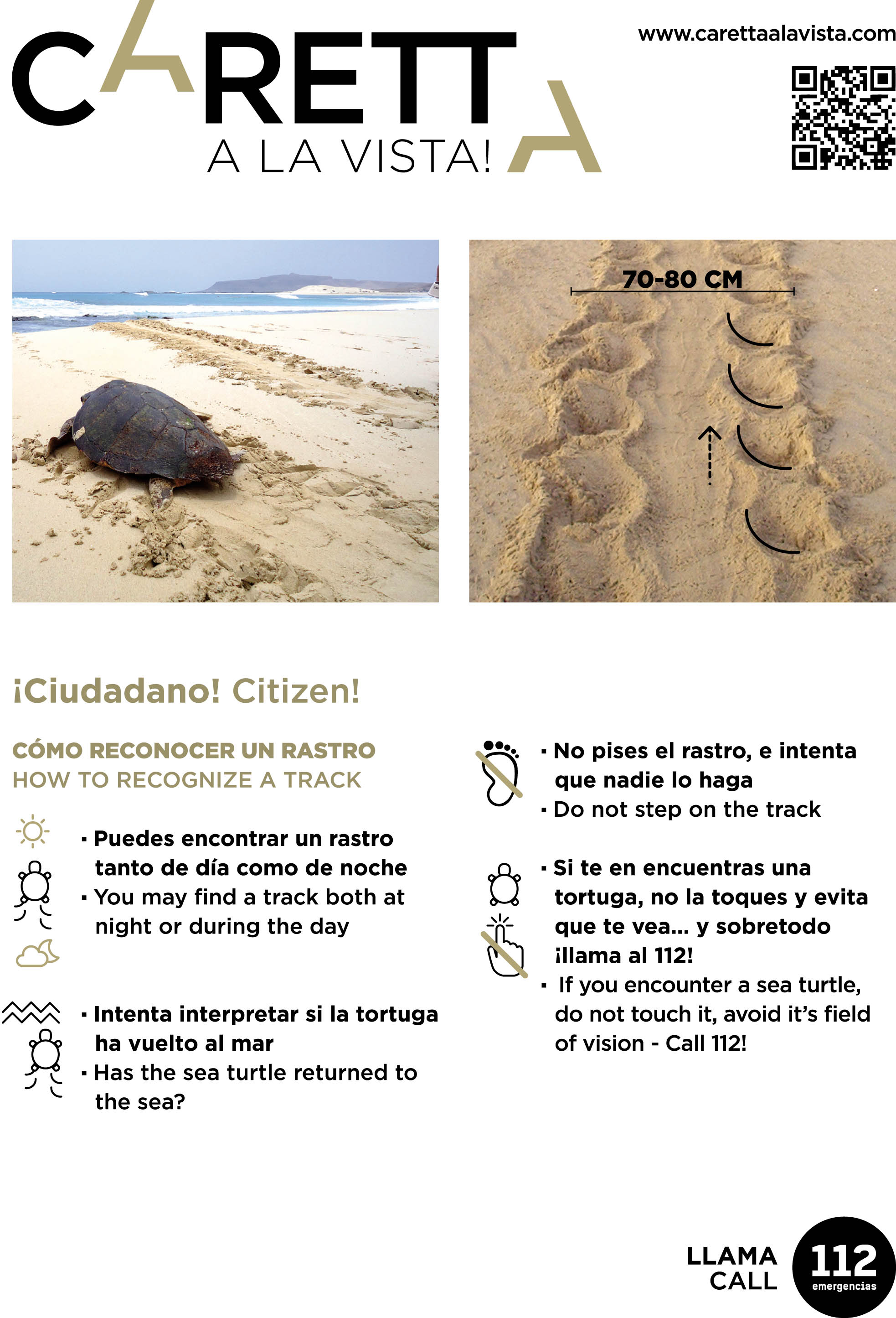 Ficha Careta a la Vista - Qué hacer ante el avistamiento de rastros de tortuga boba