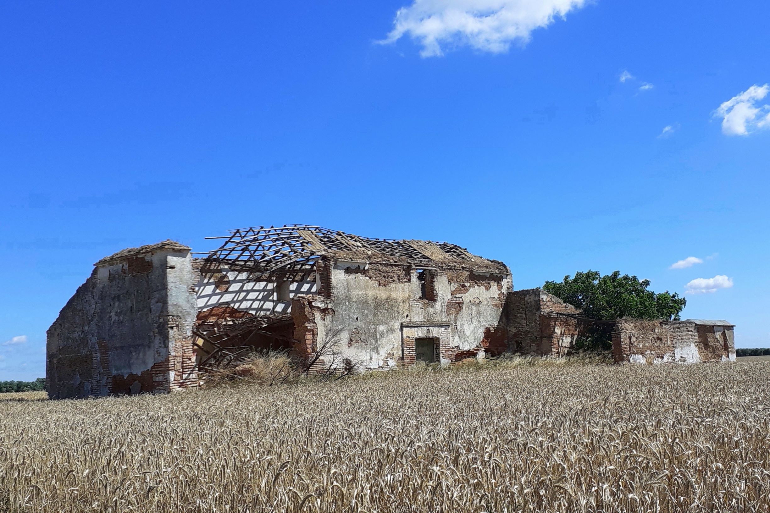 Viejas construcciones -lugares de nidificación- en desaparición en los campos. Imagen: Manuel Moral / Pcaeh