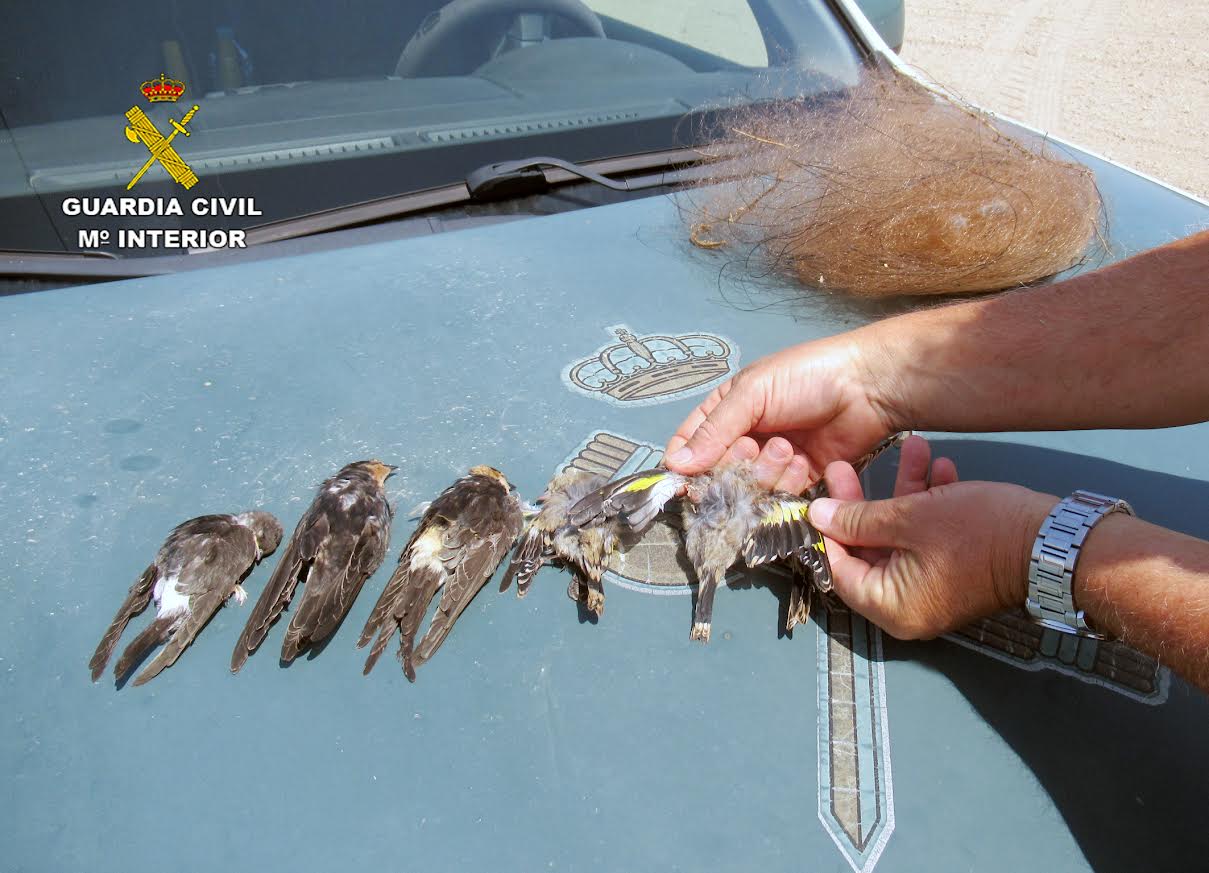 Foto: Guardia Civil de la Región de Murcia