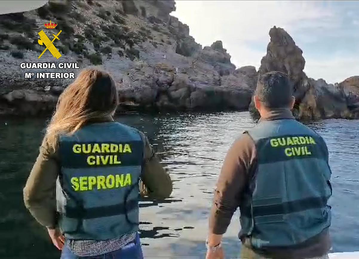 Foto: Guardia Civil de Murcia