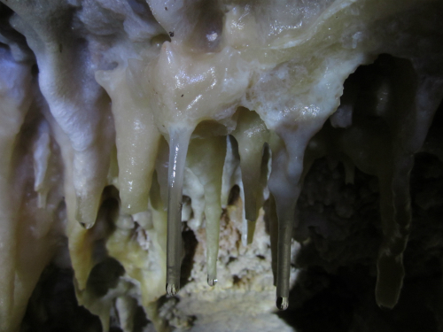 Goteos activos en la Cueva de El Recuenco, Teruel. Imagen: CSIC