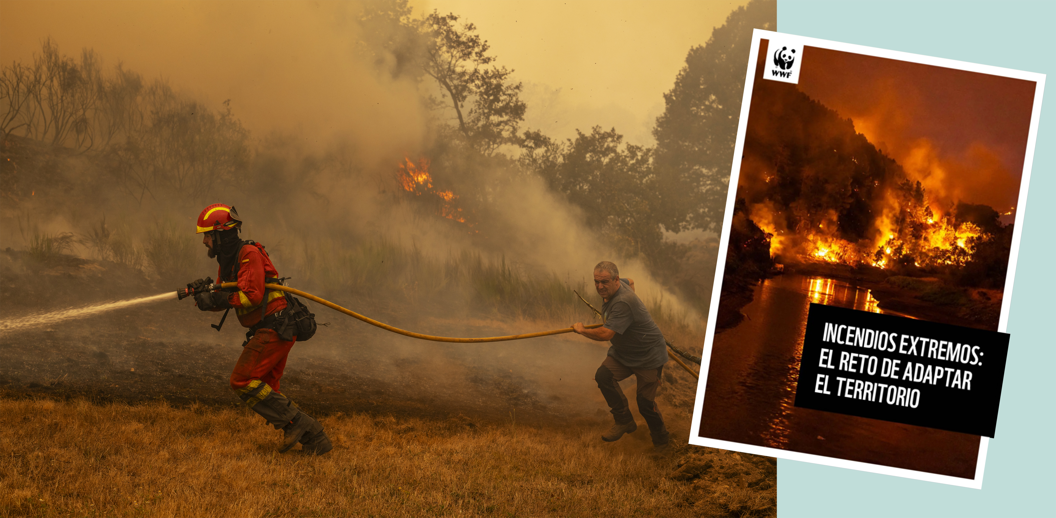 Incendio forestal en Orense 2025 © Brais Lorenzo -WWF España  + Portada Informe WWF