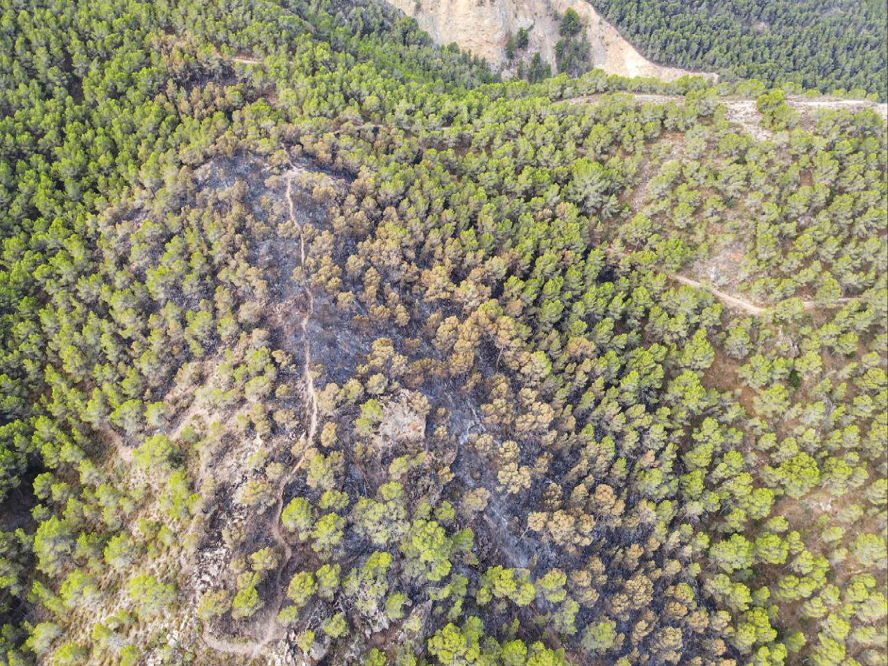 El fuego afectó a 2,2 hectáreas de monte. Foto: CARM