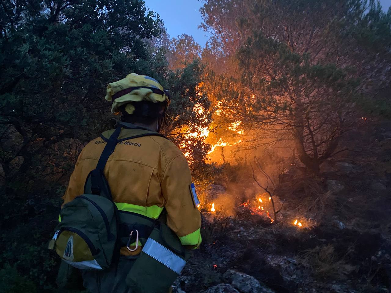 Incendio en la Sierra de la Pila. Foto: Unidad de Defensa contra los Incendios Forestales de la Dirección General del Medio Natural