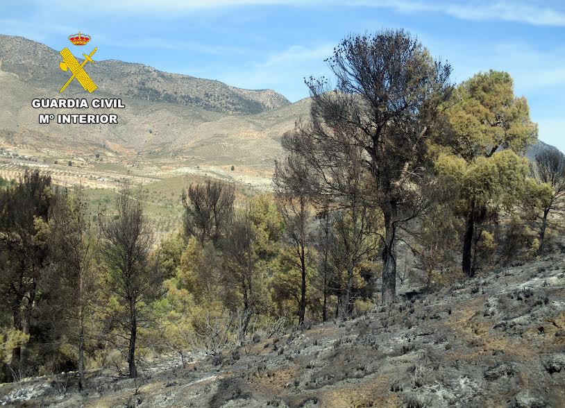 Uno de los fuego afectó a zona de monte de pinos , arbustos y matorral. Foto: Guardia Civil de Murcia