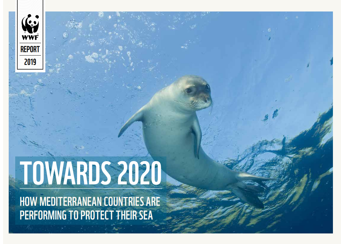 El nuevo informe de WWF recuerda que Tan solo el 1.27% del Mediterráneo está protegido de manera efectiva. Imagen: WWF