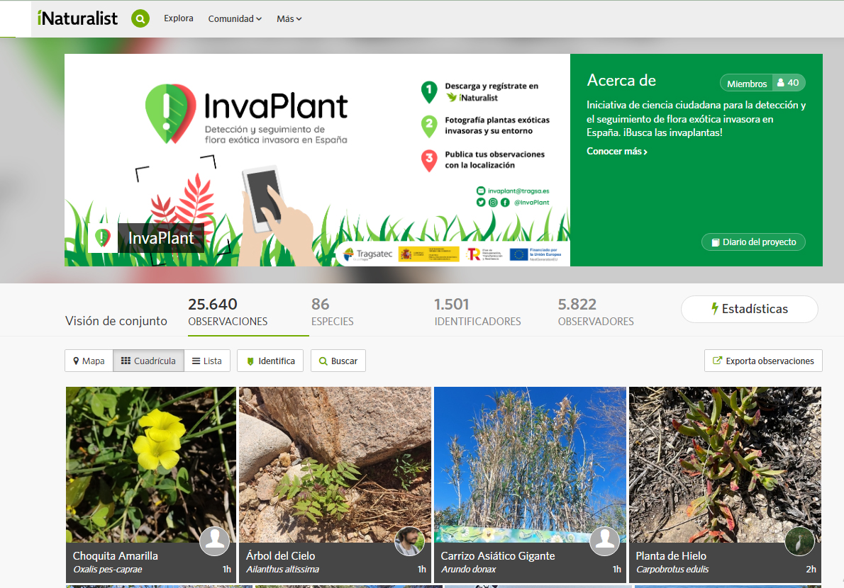 Captura del Proyecto InvaPlant en iNaturalist