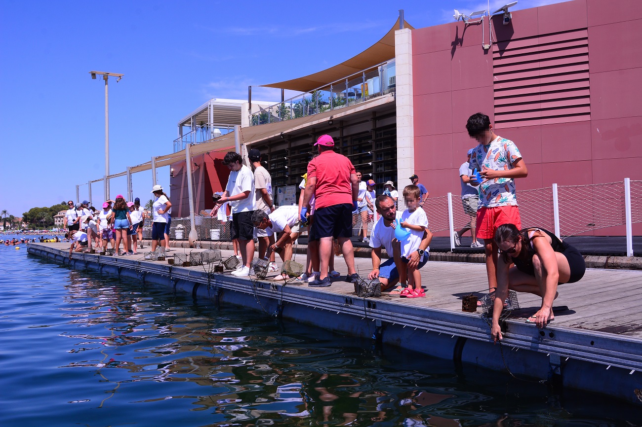 Los voluntarios han limpiado, medido y pesado periódicamente las ostras de su cesta. Foto: ANSE