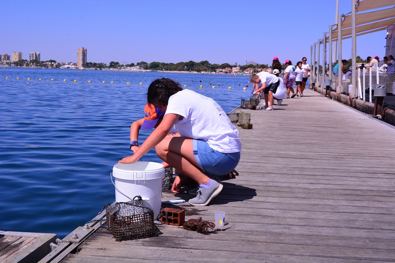 30 familias e han involucrado en la iniciativa de cultivo experimental Jardinería de Ostras. Foto: ANSE