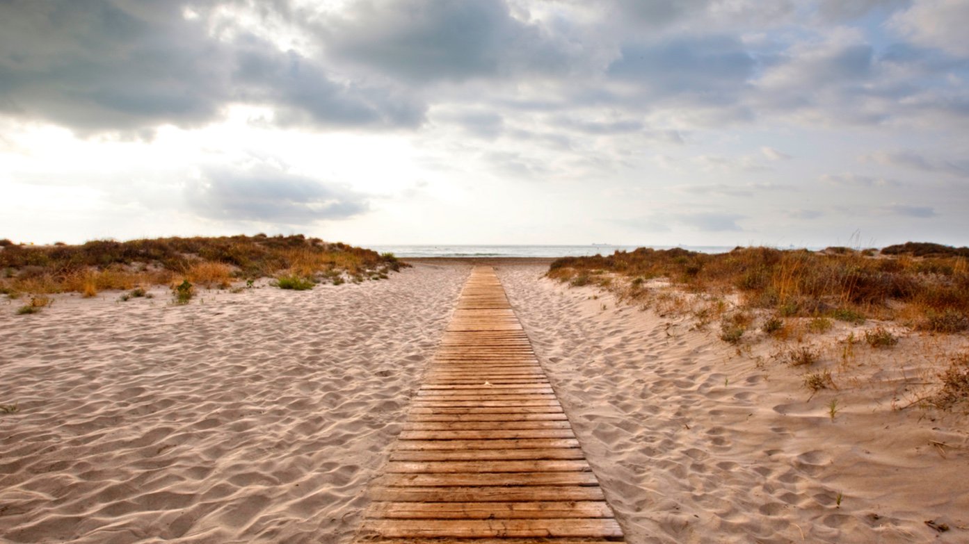 Entre los espacios reconocidos se encuentra la Playa del Serradal, en Castelló de la Plana, con dunas móviles y fijas, y pastizales salinos. Imagen: GV