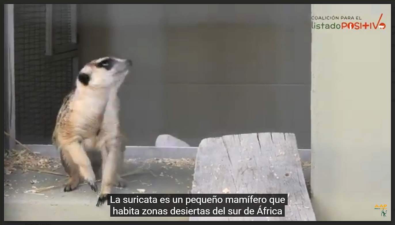 Fotograma de un vídeo explicativo de Listado Positivo