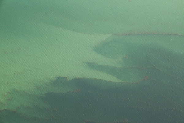 Imagen de la mancha blanca en al Mar Menor. Foto: Pedro Armestre / GreenPeace