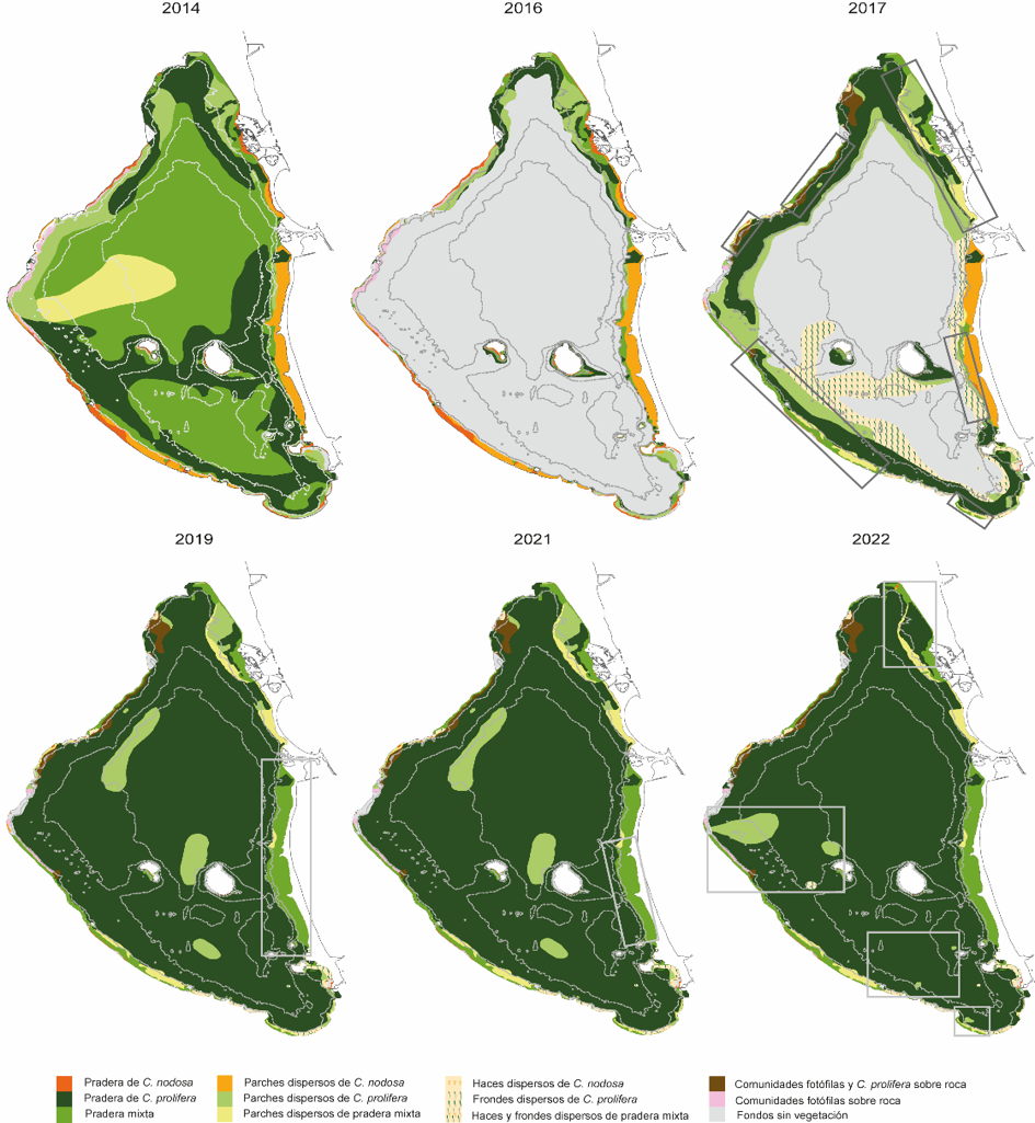 Mapas de evolución de la vegetación del Mar Menor. Fuente: IEO