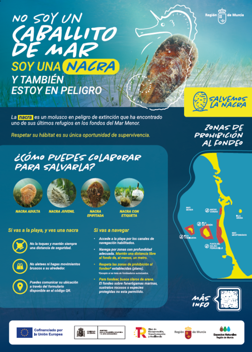 Campaña de comunicación sobre la nacra, de Medio Ambiente de la CARM
