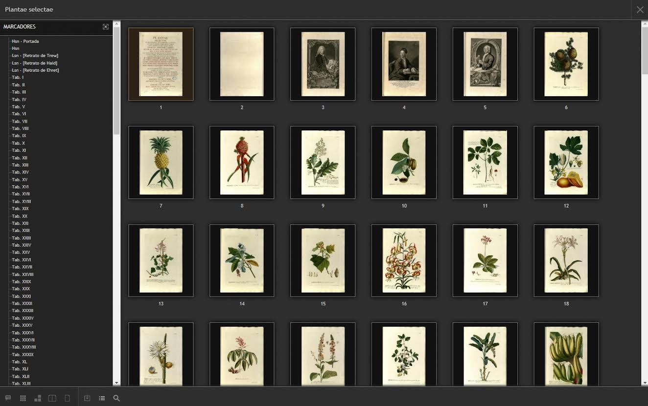 Una página con una vistosa recopilación de láminas de distintas especies. Imagen: RJB-CSIC