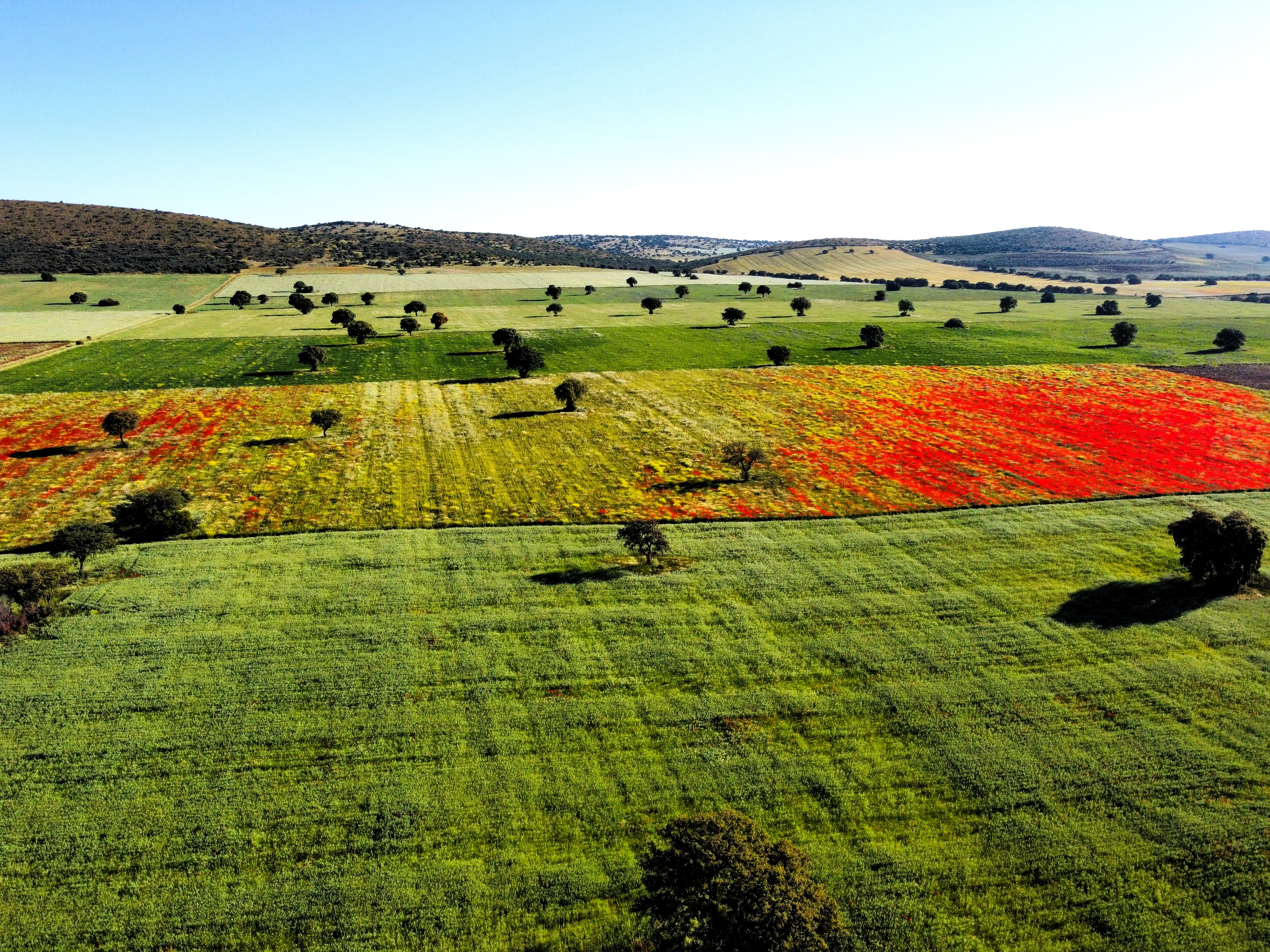 Mosaico de paisajes agrícolas y forestales. Foto: FIRE