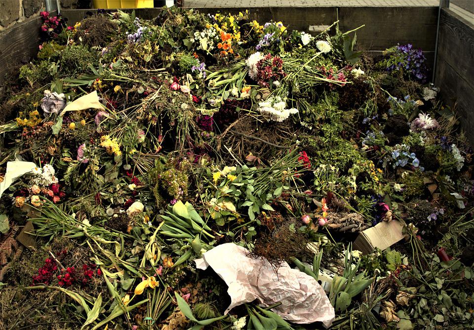 Los residuos orgánicos pueden ser restos de podas y de jardines, residuos de comidas procedentes de mercados y cantinas o sub-productos y residuos de la industria agroalimentaria. Foto: Pixabay