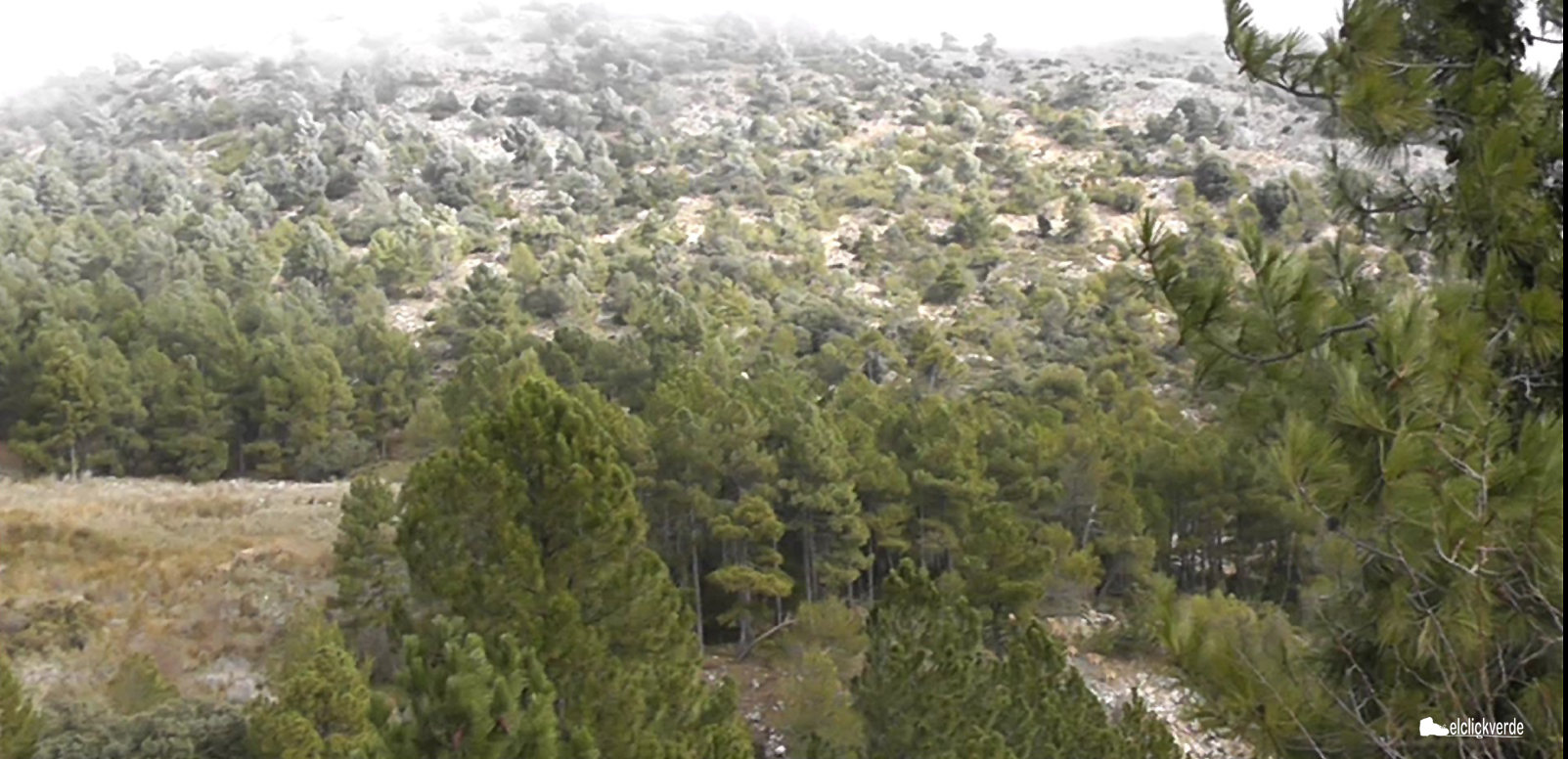 Paisaje de Sierra Espuña coronado por la niebla