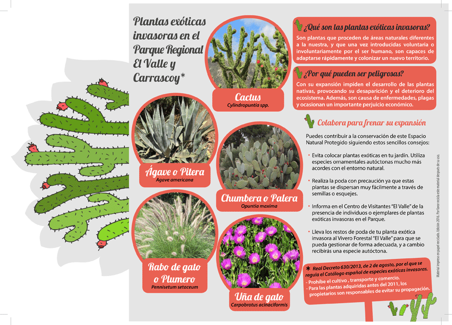Folleto informativo del Parque Regional El Valle y Carrascoy sobre las plantas exóticas invasoras. Cara 2