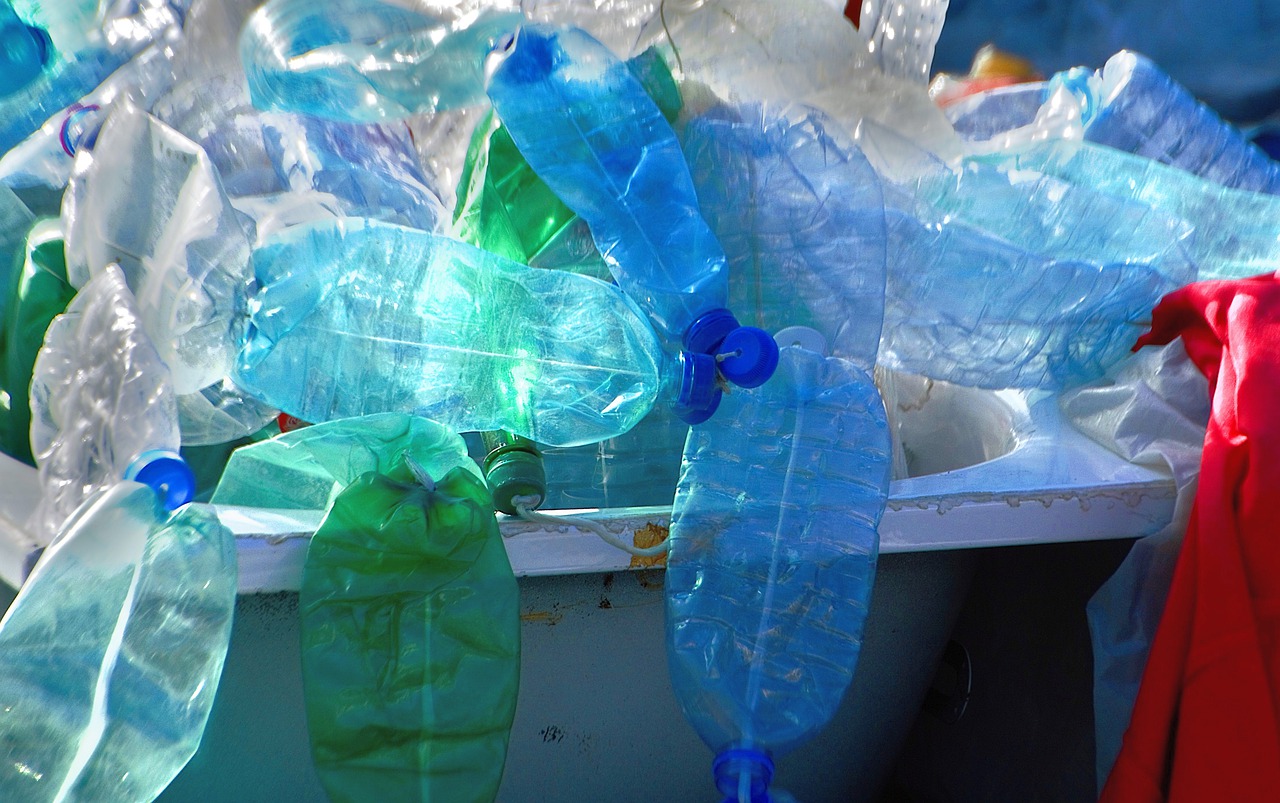 "Es imprescindible reducir nuestro consumo actual de plástico", dice Ethel Eljarrat. Imagen: Pixabay