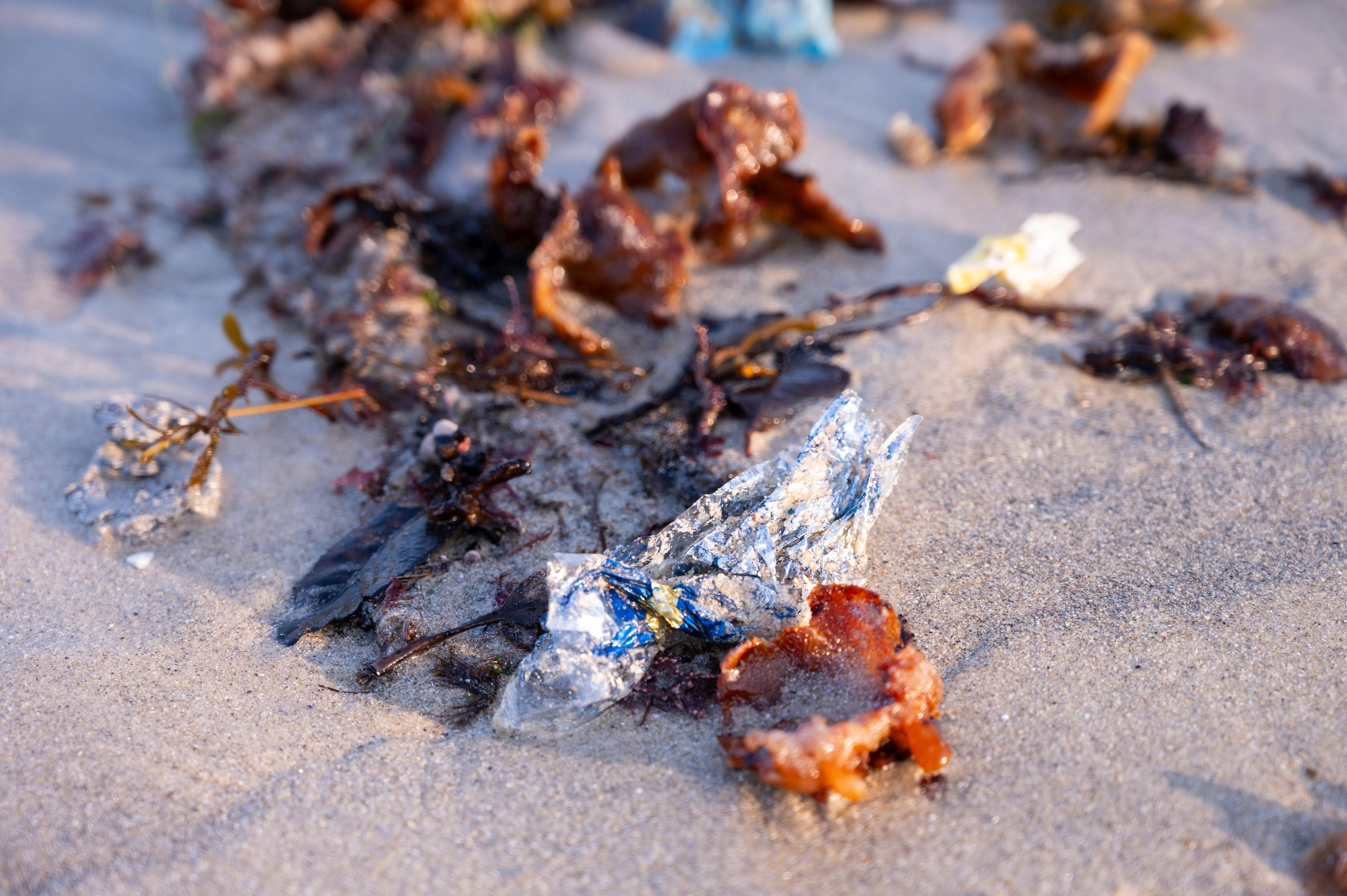 Efecto de los plásticos sobre los ecosistemas marinos. Foto: IEO, CSIC