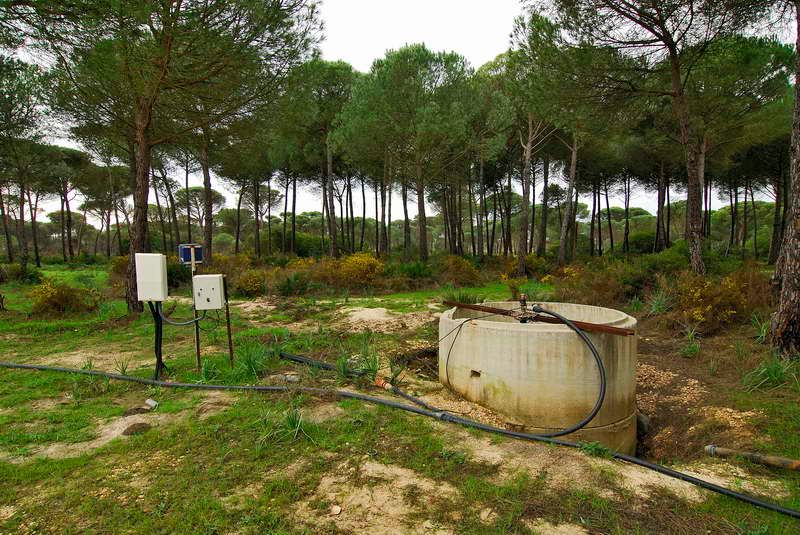 Pozo ilegal detectado en Doñana. Imagen: Jorge Sierra / WWF