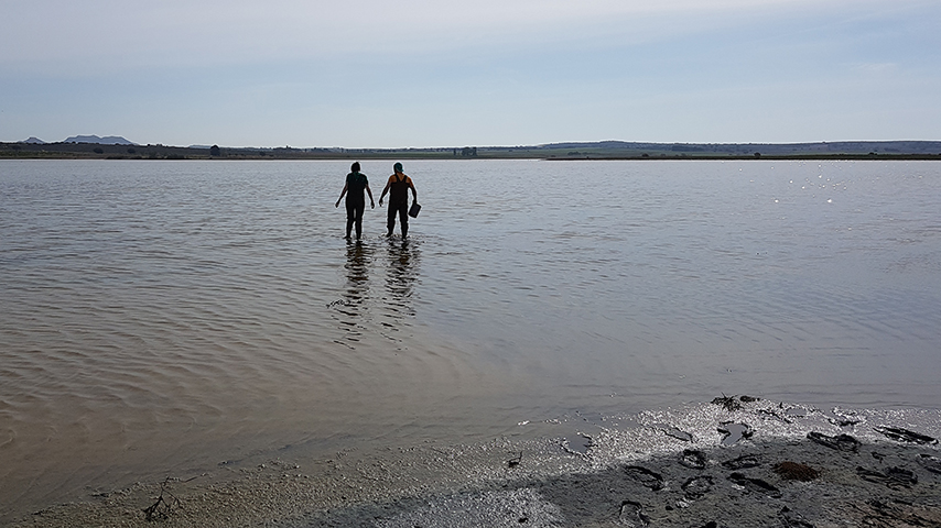 Los investigadores, durante el muestreo de sedimento en la Laguna de Pétrola. Imagen: UCLM